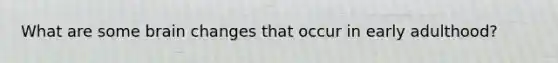 What are some brain changes that occur in early adulthood?