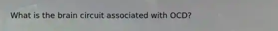 What is the brain circuit associated with OCD?