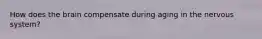 How does the brain compensate during aging in the nervous system?