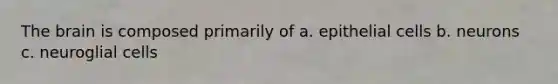 The brain is composed primarily of a. epithelial cells b. neurons c. neuroglial cells