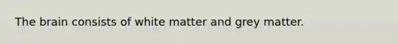 The brain consists of white matter and grey matter.