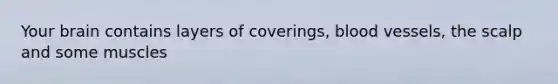 Your brain contains layers of coverings, blood vessels, the scalp and some muscles