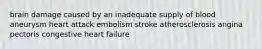 brain damage caused by an inadequate supply of blood aneurysm heart attack embolism stroke atherosclerosis angina pectoris congestive heart failure