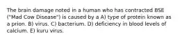 The brain damage noted in a human who has contracted BSE ("Mad Cow Disease") is caused by a A) type of protein known as a prion. B) virus. C) bacterium. D) deficiency in blood levels of calcium. E) kuru virus.