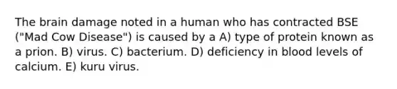 The brain damage noted in a human who has contracted BSE ("Mad Cow Disease") is caused by a A) type of protein known as a prion. B) virus. C) bacterium. D) deficiency in blood levels of calcium. E) kuru virus.