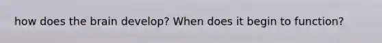 how does the brain develop? When does it begin to function?
