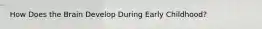 How Does the Brain Develop During Early Childhood?
