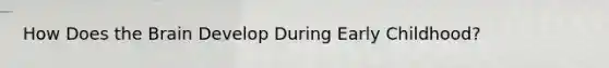 How Does the Brain Develop During Early Childhood?