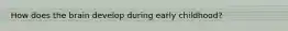How does the brain develop during early childhood?
