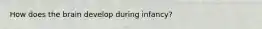 How does the brain develop during infancy?