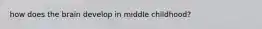 how does the brain develop in middle childhood?