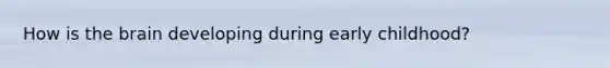 How is the brain developing during early childhood?