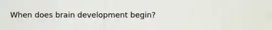 When does brain development begin?