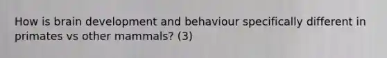 How is brain development and behaviour specifically different in primates vs other mammals? (3)