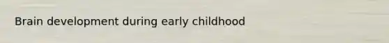 Brain development during early childhood