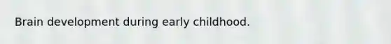 Brain development during early childhood.