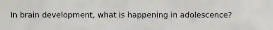 In brain development, what is happening in adolescence?