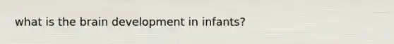 what is the brain development in infants?