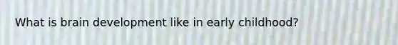 What is brain development like in early childhood?