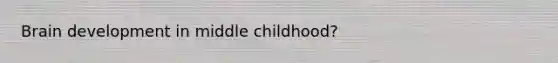 Brain development in middle childhood?