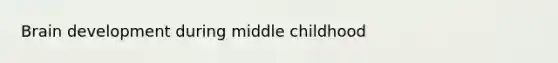 Brain development during middle childhood