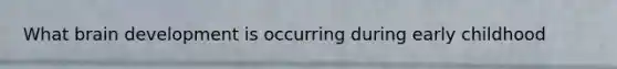 What brain development is occurring during early childhood