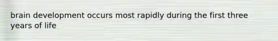 brain development occurs most rapidly during the first three years of life
