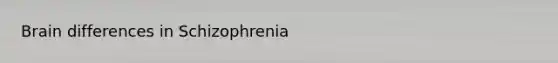 Brain differences in Schizophrenia