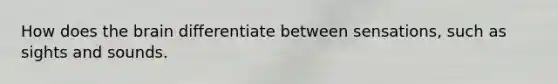How does the brain differentiate between sensations, such as sights and sounds.