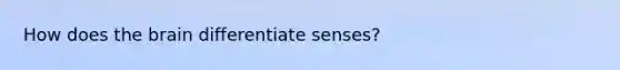 How does the brain differentiate senses?