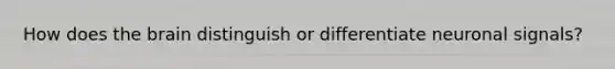 How does the brain distinguish or differentiate neuronal signals?