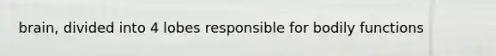 brain, divided into 4 lobes responsible for bodily functions