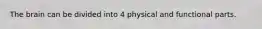 The brain can be divided into 4 physical and functional parts.