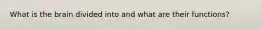 What is the brain divided into and what are their functions?