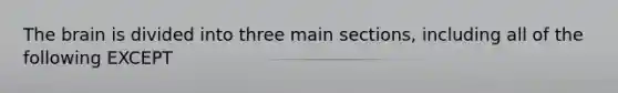 The brain is divided into three main sections, including all of the following EXCEPT