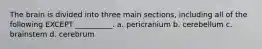 The brain is divided into three main sections, including all of the following EXCEPT __________. a. pericranium b. cerebellum c. brainstem d. cerebrum