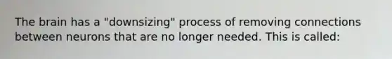 The brain has a "downsizing" process of removing connections between neurons that are no longer needed. This is called: