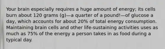 Your brain especially requires a huge amount of energy; its cells burn about 120 grams (g)—a quarter of a pound!—of glucose a day, which accounts for about 20% of total energy consumption. Maintaining brain cells and other life-sustaining activities uses as much as 75% of the energy a person takes in as food during a typical day.