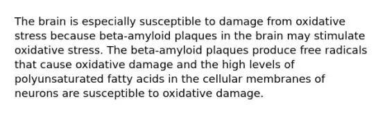 The brain is especially susceptible to damage from oxidative stress because beta-amyloid plaques in the brain may stimulate oxidative stress. The beta-amyloid plaques produce free radicals that cause oxidative damage and the high levels of polyunsaturated fatty acids in the cellular membranes of neurons are susceptible to oxidative damage.