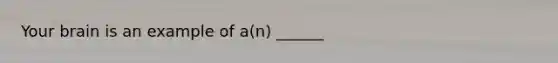 Your brain is an example of a(n) ______