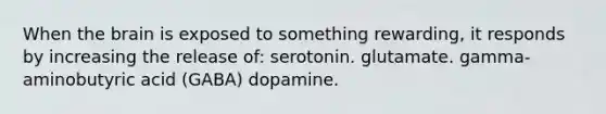 When the brain is exposed to something rewarding, it responds by increasing the release of: serotonin. glutamate. gamma-aminobutyric acid (GABA) dopamine.