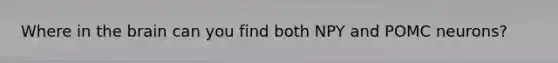 Where in the brain can you find both NPY and POMC neurons?