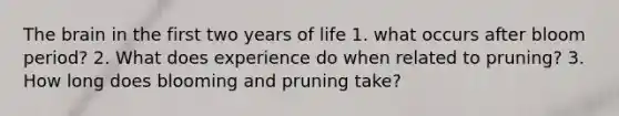 The brain in the first two years of life 1. what occurs after bloom period? 2. What does experience do when related to pruning? 3. How long does blooming and pruning take?