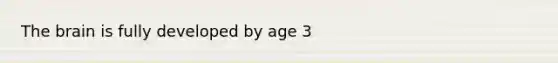 The brain is fully developed by age 3