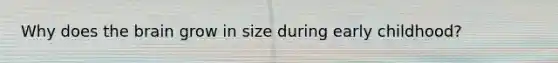 Why does the brain grow in size during early childhood?