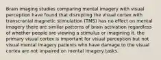 Brain imaging studies comparing mental imagery with visual perception have found that disrupting the visual cortex with transcranial magnetic stimulation (TMS) has no effect on mental imagery there are similar patterns of brain activation regardless of whether people are viewing a stimulus or imagining it. the primary visual cortex is important for visual perception but not visual mental imagery patients who have damage to the visual cortex are not impaired on mental imagery tasks.