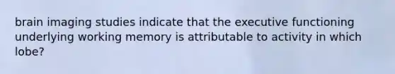 brain imaging studies indicate that the executive functioning underlying working memory is attributable to activity in which lobe?