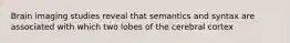 Brain imaging studies reveal that semantics and syntax are associated with which two lobes of the cerebral cortex