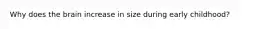 Why does the brain increase in size during early childhood?