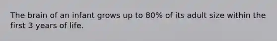 The brain of an infant grows up to 80% of its adult size within the first 3 years of life.